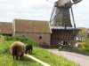 HWK Texel 094_small.jpg